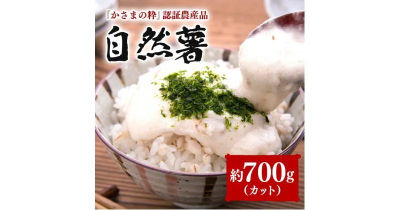 【ふるさと納税】自然薯 カット 約700g 伊藤農園