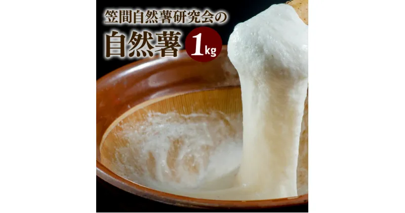 【ふるさと納税】自然薯 約1kg