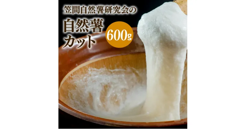 【ふるさと納税】自然薯 カット 約600g 笠間自然薯研究会