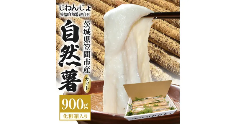 【ふるさと納税】笠間自然薯研究会の自然薯カット 900g 長芋 とろろ とろろご飯 野菜 ねばねば 健康食品 美容効果 笠間市産 茨木県産 栄養たっぷり ギフトに最適 新鮮 国内生産 高級根菜 美容と健康に 美味しい 有機栽培 オーガニック 産地直送 滋養強壮