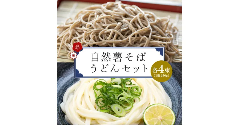 【ふるさと納税】自然薯 そば うどん セット