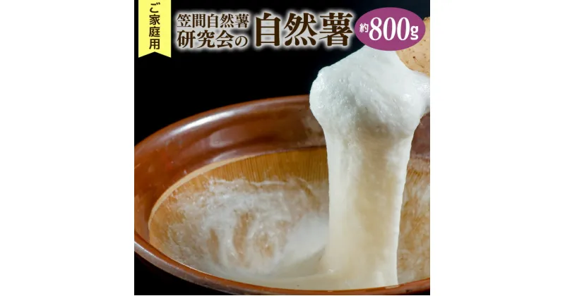 【ふるさと納税】自然薯 ご家庭用 約800g 笠間自然薯研究会