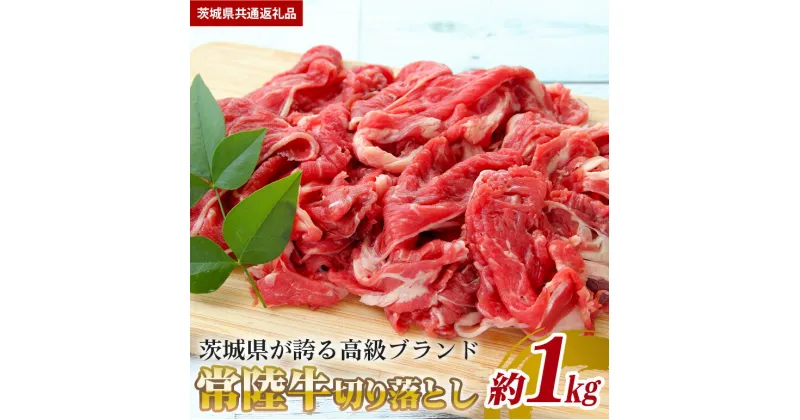 【ふるさと納税】 常陸牛 切り落とし 約 1kg （茨城県共通返礼品） 牛肉 小間切れ 黒毛和牛 和牛 ブランド牛 ひたち ヒタチ 牛 お肉 冷凍 薄切り すき焼き 牛丼 国産 茨城県産 国産黒毛和牛 茨城 国産牛 茨城県 笠間市 送料無料