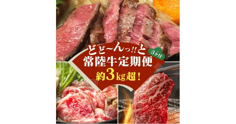 【ふるさと納税】【3ヵ月定期便】 常陸牛 どどーんっ！と定期便 総重量 約3kg超え（茨城県共通返礼品）