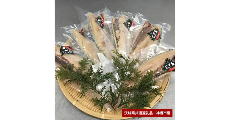 【ふるさと納税】 大トロ さば文化干し 6枚（茨城県共通返礼品・神栖市産）