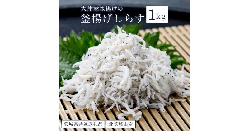 【ふるさと納税】釜揚げ しらす 1kg 大津港 水揚げ（茨城県共通返礼品・北茨城市産）