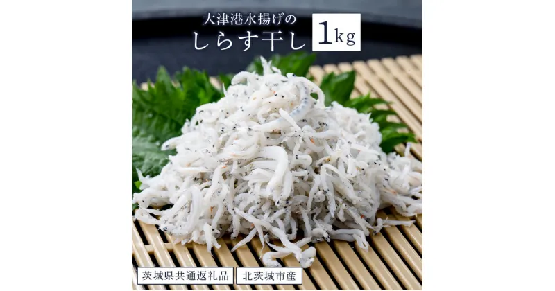 【ふるさと納税】しらす干し 1kg 大津港 水揚げ（茨城県共通返礼品・北茨城市産）