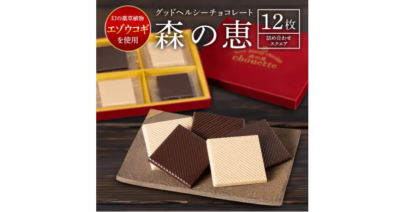 【ふるさと納税】チョコレート 詰め合わせ 12枚入り 森の恵 グッドヘルシー スクエア