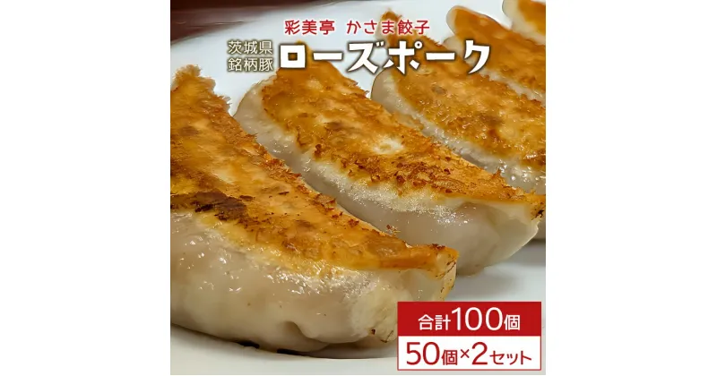 【ふるさと納税】餃子 100個 彩美 ローズポーク亭 かさま餃子 中華