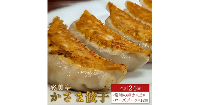 【ふるさと納税】餃子 常陸の輝き ローズポーク セット 彩美亭 かさま餃子 中華