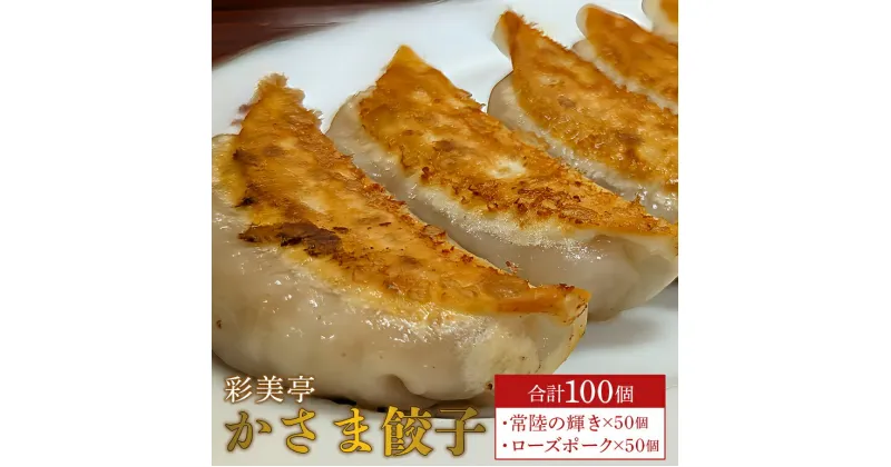 【ふるさと納税】餃子 100個 常陸の輝き ローズポーク セット 彩美亭 かさま餃子 中華