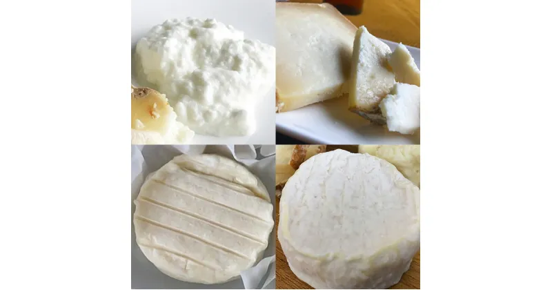 【ふるさと納税】毎日ちょこっと しあわせチーズ FROMAGERIEつくばのおすすめ4点セット