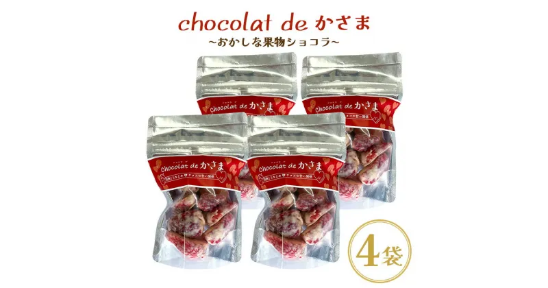 【ふるさと納税】Chocolat de かさま おかしな果実ショコラ 完熟とちおとめの詰め合わせ