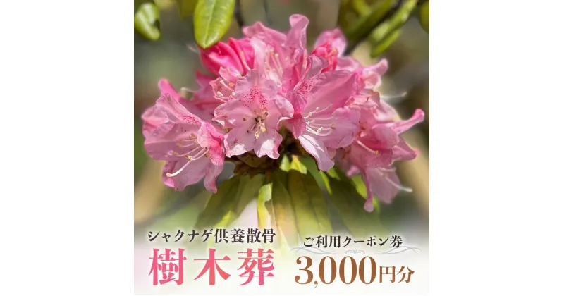 【ふるさと納税】自然供養のカンシャ 樹木葬 シャクナゲ供養散骨 ご利用クーポン券 3000円分