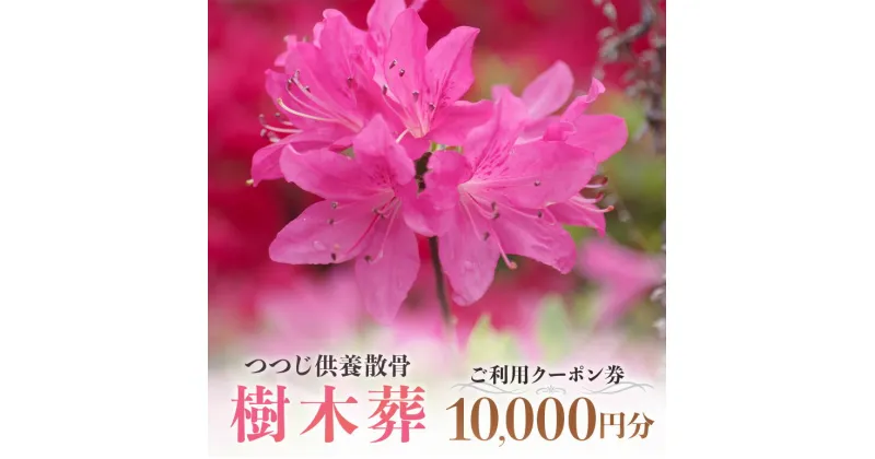 【ふるさと納税】自然供養のカンシャ 樹木葬 つつじ供養散骨 ご利用クーポン 10000円分