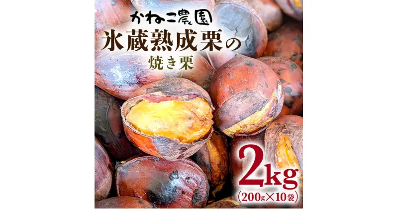 【ふるさと納税】笠間の栗・かねこ農園の焼き栗　200g×10袋 栗 クリ くり 焼栗 茨城県 笠間市 送料無料