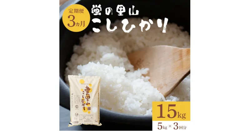 【ふるさと納税】【3カ月定期便】令和6年度米 極上ランク 蛍の里のこしひかり（ 5kg ）お米 コシヒカリ 米 こしひかり 新米