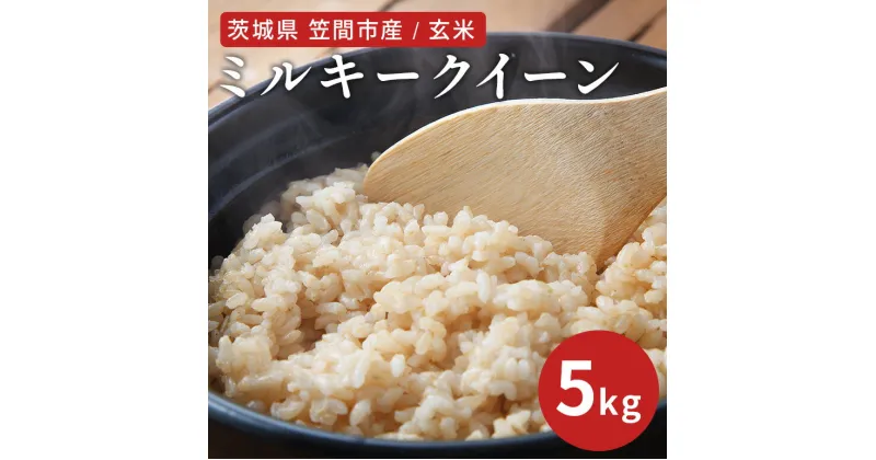 【ふるさと納税】令和6年度 笠間市産 ミルキークイーン 5kg 玄米 新米 米 茨城県