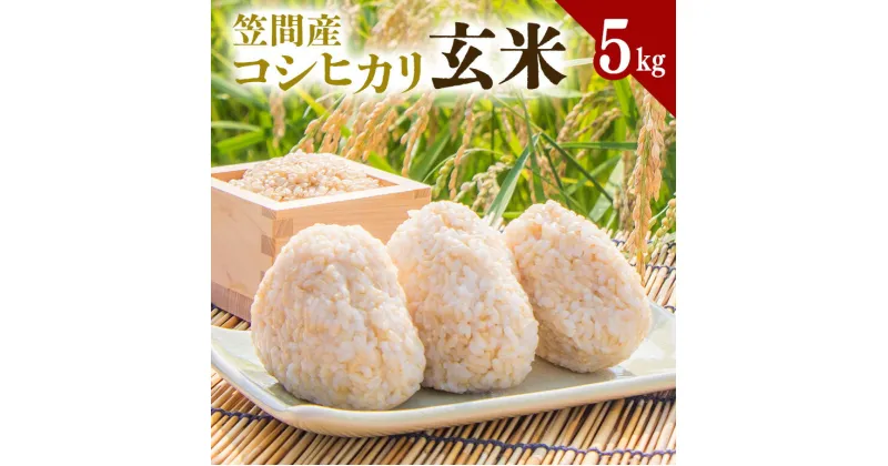 【ふるさと納税】令和6年度 笠間市産 コシヒカリ 5kg 玄米 新米 米 茨城県