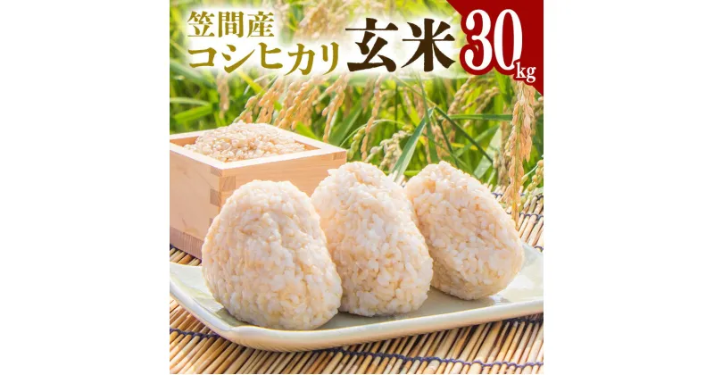 【ふるさと納税】令和6年度 笠間市産 コシヒカリ 30kg 玄米 新米 米 茨城県