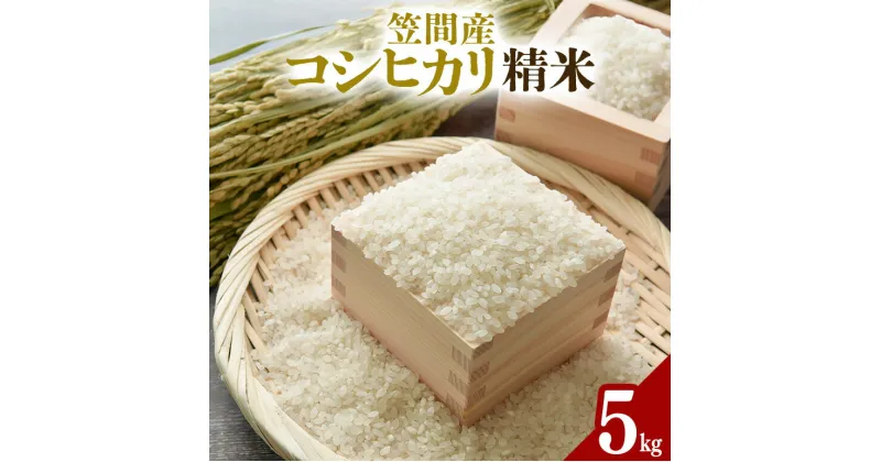 【ふるさと納税】令和6年度 笠間産 コシヒカリ 5kg 精米 米 白米 新米 茨城県