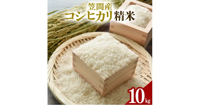 【ふるさと納税】令和6年度 笠間産 コシヒカリ 10kg 精米 米 白米 新米 茨城県