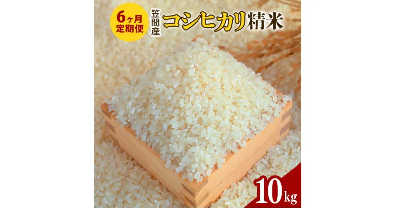 【ふるさと納税】【6カ月定期便】 令和6年度 笠間産 コシヒカリ 10kg (10kg×6回 計60kg) 精米 お米 米 白米 ご飯 茨城県