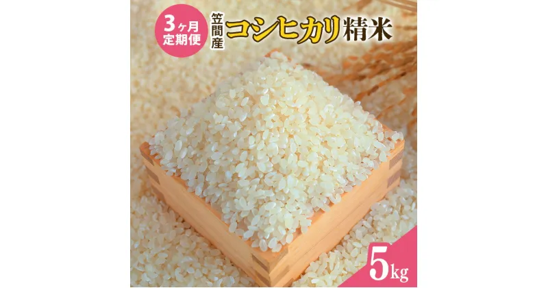 【ふるさと納税】【3カ月定期便】 令和6年度 笠間産 コシヒカリ 5kg (5kg×3回 計15kg) 精米 お米 米 白米 ご飯 茨城県