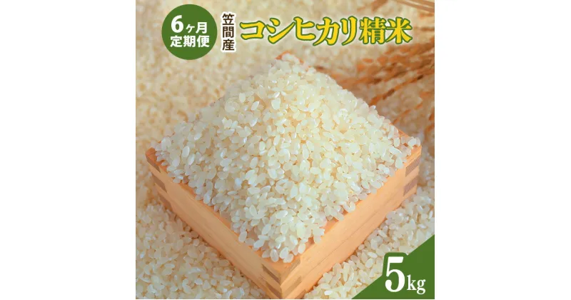 【ふるさと納税】【6カ月定期便】 令和6年度 笠間産 コシヒカリ 5kg (5kg×6回 計30kg) 精米 お米 米 白米 ご飯 茨城県