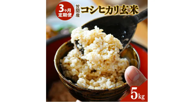 【ふるさと納税】【3カ月定期便】 令和6年度 笠間産 コシヒカリ 5kg (5kg×3回 計15kg) 玄米 お米 米 ご飯 茨城県