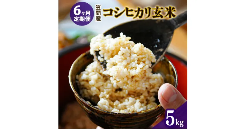 【ふるさと納税】【6カ月定期便】 令和6年度 笠間産 コシヒカリ 5kg (5kg×6回 計30kg) 玄米 お米 米 ご飯 茨城県