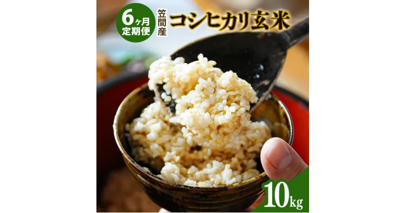 【ふるさと納税】【6カ月定期便】 令和6年度 笠間産 コシヒカリ 10kg (10kg×6回 計60kg) 玄米 お米 米 ご飯 茨城県