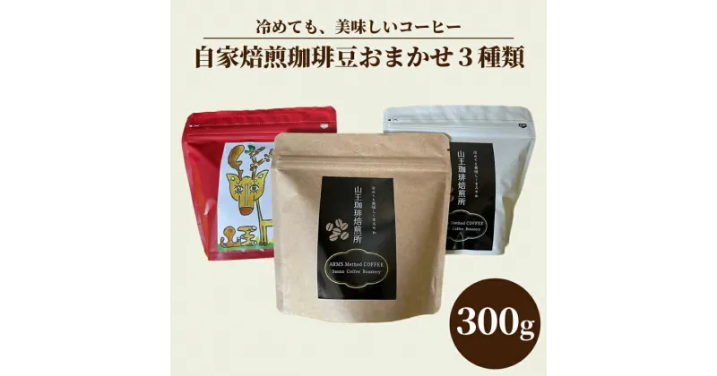 【ふるさと納税】自家焙煎珈琲豆おまかせ3種類（100g×3袋）300g（BA001）