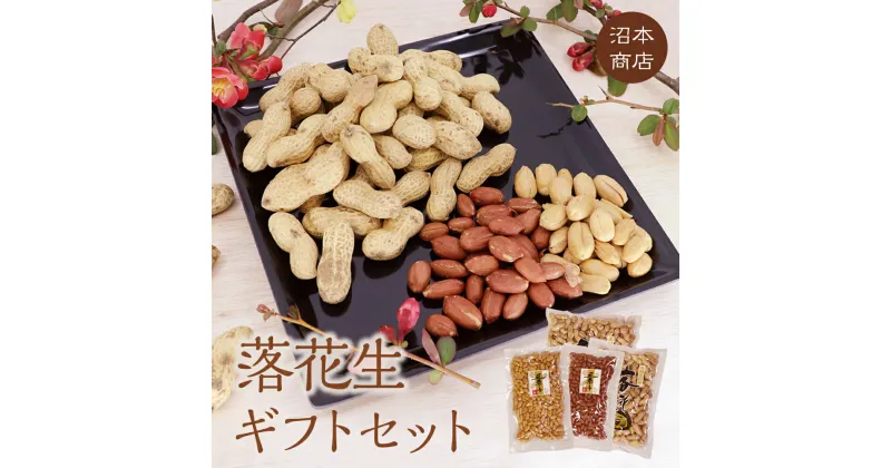 【ふるさと納税】落花生ギフトセット 落花生 ピーナッツ ピーナツ 煎ざや 豆菓子 美味しい おいしい おやつ お菓子 ビールのお供 お酒のあて 酒の肴 お取り寄せ 詰め合わせ お土産 贈り物 ギフト プチギフト 国産 茨城 特産品 農園 自家栽培