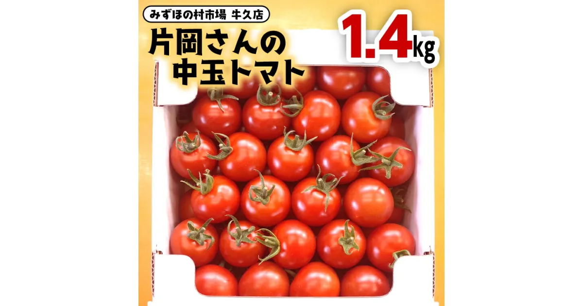 【ふるさと納税】片岡さんの 中玉トマト 1.4kg 新鮮 野菜 トマト とまと