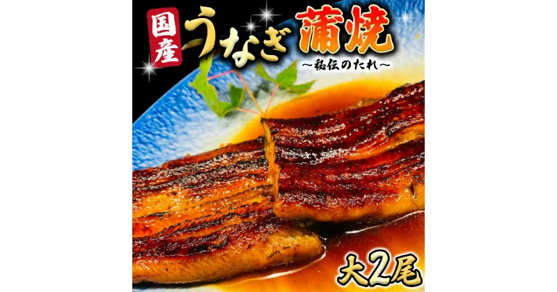 【ふるさと納税】 国産 うなぎ 蒲焼 大サイズ 2尾 【 日本料理 ひたち野いしざき 秘伝 の たれ焼き 】 鰻 ウナギ おいしい 美味しい 蒲焼き かばやき 丑の日 土用の丑の日 土用 グルメ おかず お取り寄せ お土産 贈り物 贈答 お祝い 記念日 ギフト 茨城 魚