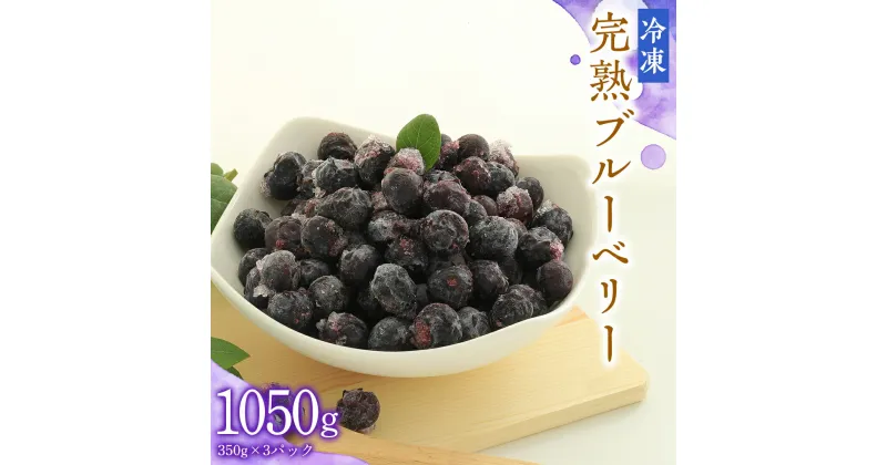 【ふるさと納税】冷凍 完熟 ブルーベリー 1,050g（ 350g × 3パック ） 数量限定 ベリー 甘い 甘酸っぱい 完熟 新鮮 フルーツ 果物 くだもの 贈り物 贈答 ギフト 国産 茨城 農園 産地直送