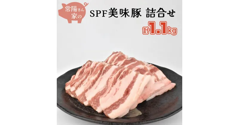 【ふるさと納税】常陽さん家の SPF 美味豚 詰合せ 計 1.1kg 食べ比べ セット 豚肉 ロース しゃぶしゃぶ用 300g×2 バラ焼き肉用 500g 計 1.1kg 国産 ブランド豚 銘柄豚 茨城 SPF認定 農場 焼肉 焼き肉 豚ロース 豚バラ ロース バラ お肉