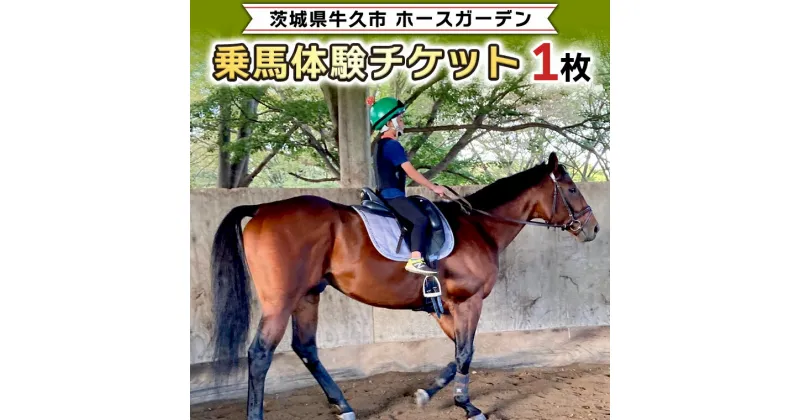 【ふるさと納税】乗馬体験1回コース 乗馬 レッスン 見学 初心者 日帰り 体験 馬 チケット