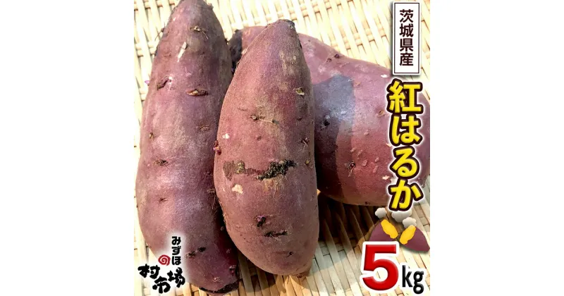 【ふるさと納税】 さつまいも 「 紅はるか 」 5kg 旬 甘い 芋 いも サツマイモ スイーツ 野菜