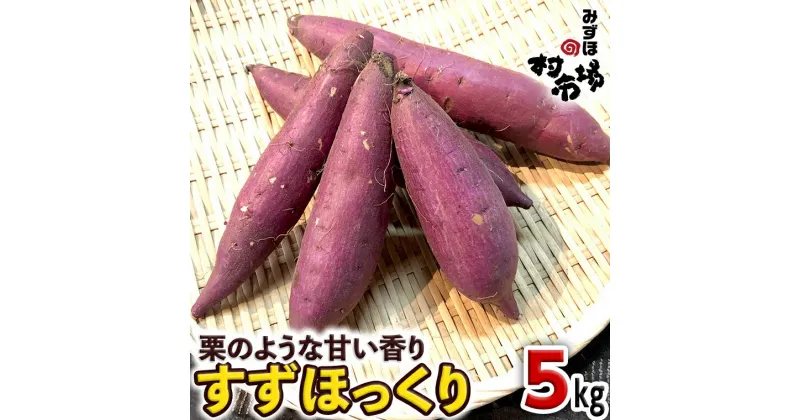 【ふるさと納税】さつまいも 「 すずほっくり 」 5kg 旬 甘い 芋 いも サツマイモ スイーツ 野菜