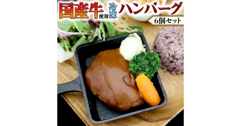 【ふるさと納税】国産牛使用 こだわり 冷凍 ハンバーグ 6個 セット 牛肉 洋食 究極 本格 ビーフシチュー デミグラス レンジ可 惣菜 簡単 時短