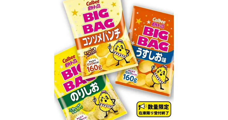 【ふるさと納税】カルビー ポテトチップス BIGBAG 160g うすしお ・ のりしお ・ コンソメパンチ ポテチ お菓子 おかし 大量 スナック おつまみ ジャガイモ じゃがいも まとめ買い 数量限定 定期便