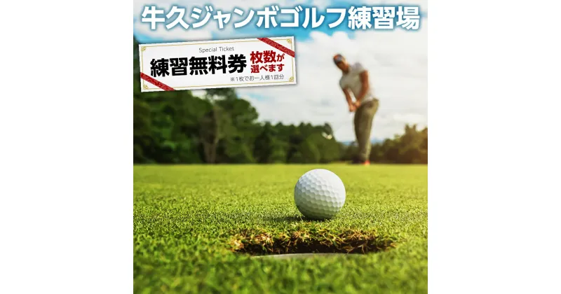 【ふるさと納税】《 枚数 選べる 》牛久 ジャンボゴルフ 練習場 練習 無料券 3枚 6枚 ゴルフ ゴルフ場 練習券 利用券 プレー プレー券 チケット ゴルフチケット 打ち放題 打ちっぱなし 270ヤード 屋外 茨城