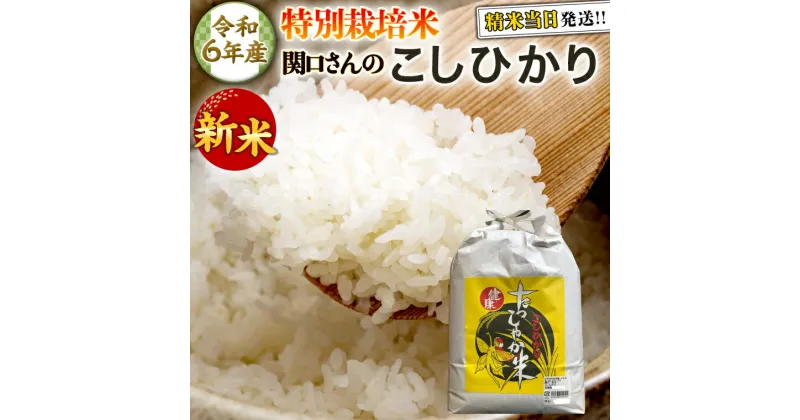 【ふるさと納税】＼ 選べる内容量 ／《 特別栽培米 》 令和6年産 精米日出荷 関口さんの「 こしひかり 」 4.5kg ( 玄米時 5kg ) 1 ～ 3 袋 新鮮 精米 コシヒカリ 米 こめ コメ 特別栽培農産物 認定米 新米