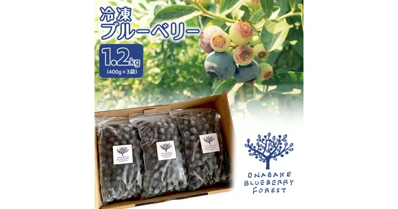 【ふるさと納税】冷凍 ブルーベリー 400g×3袋 冷凍 大粒 フルーツ 果物 くだもの おやつ 無農薬 農薬不使用 お取り寄せ 贈り物 ジャム スムージー