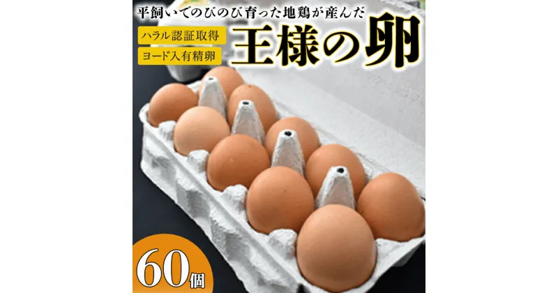 【ふるさと納税】王様の卵 ヨード入 60個 平飼い 地鶏 有精卵 濃厚 卵 こだわり卵 たまご