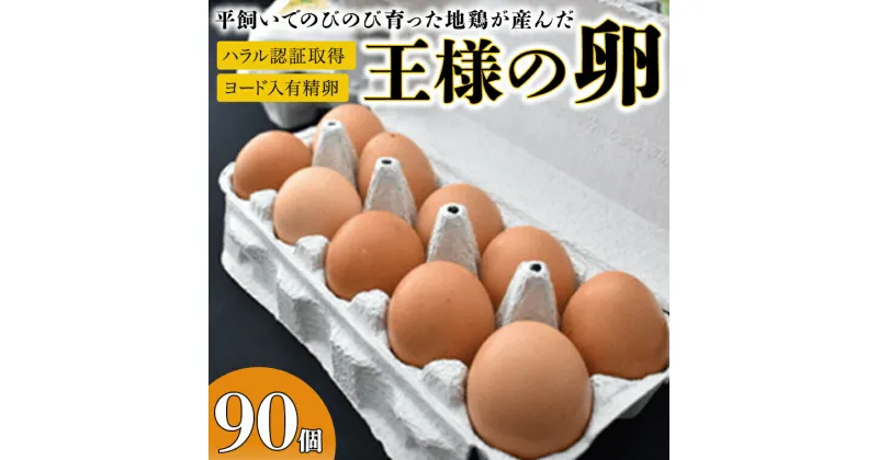 【ふるさと納税】王様の卵 ヨード入 90個 平飼い 地鶏 有精卵 濃厚 卵 こだわり卵 たまご