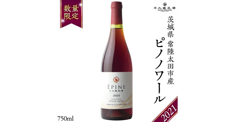 【ふるさと納税】【 数量限定 】エピヌ ピノノワール 2021 茨城県産 牛久醸造場 日本ワイン 赤ワイン 750ml × 1本 やや辛口 ミディアムボディ お酒 贈り物 野菜 おでん