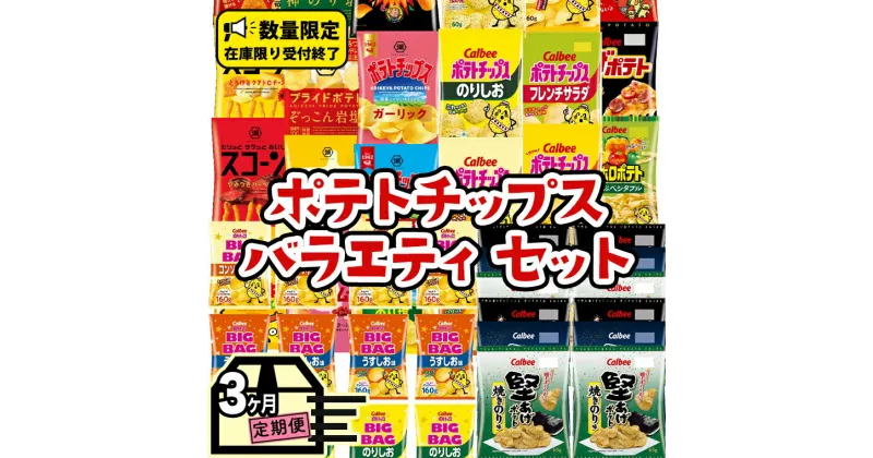 【ふるさと納税】 【 人気スナック菓子 3ヶ月 定期便 】 カルビー 湖池屋 人気 24種 詰め合わせ バラエティ セット カルビー 湖池屋 ポテチ スナック菓子 ( お楽しみ 24袋 ) BIGBAG 堅あげポテト ( 3種 各4袋 ) のりしお うすしお ブラックペッパー 定期便 頒布会